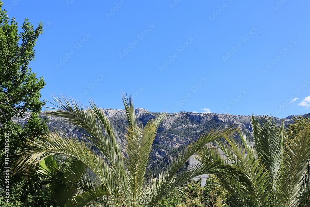 Blick in die Altstadt von Soller auf der Spanischen Mittelmeerinsel Mallorca Blick in die Altstadt von Soller auf der Spanischen Mittelmeerinsel Mallorca