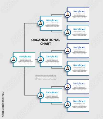 Corporate organizational chart with business avatar icons. Business hierarchy infographic elements