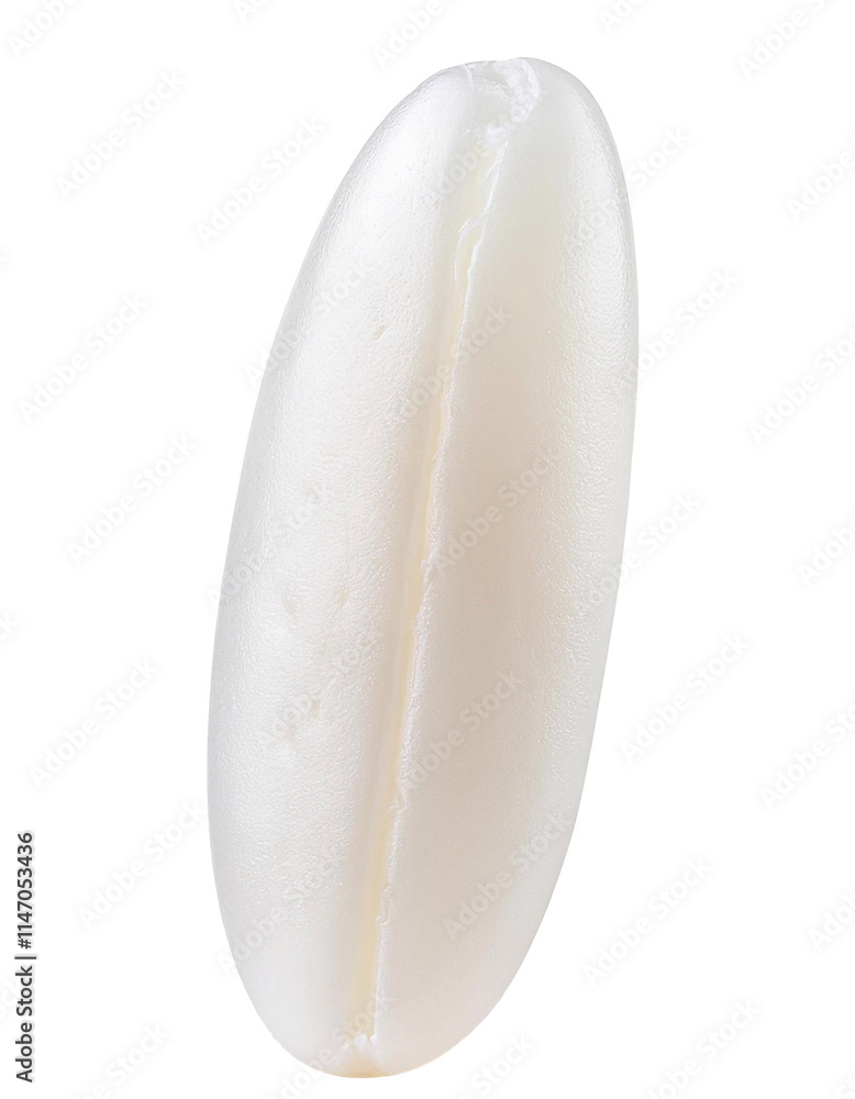 Single grain of rice isolated on transparent background Single grain of rice isolated on transparent background