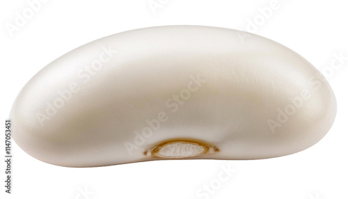 Single white bean isolated on transparent background representing healthy eating