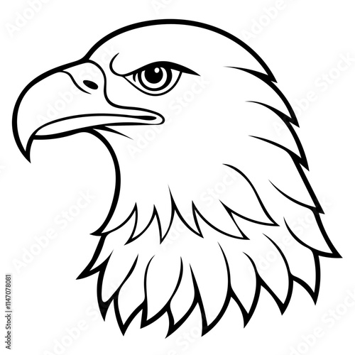 bald eagle head