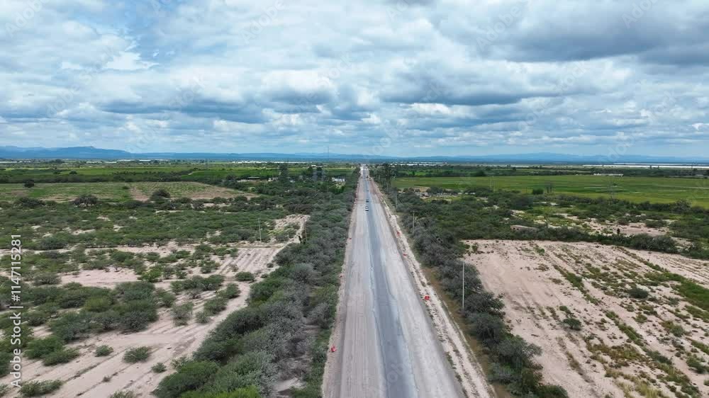 Recorrido aéreo en carretera con vegetación y un día soleado Recorrido aéreo en carretera con vegetación y un día soleado