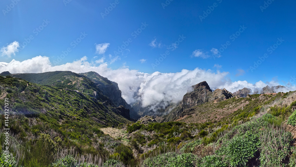 Naklejka premium Breathtaking view of Vereda Pico do Arieiro in Madeira, Portugal, featuring vibrant green landscapes, dramatic mountain peaks, and fluffy clouds rolling through the valleys under a bright blue sky