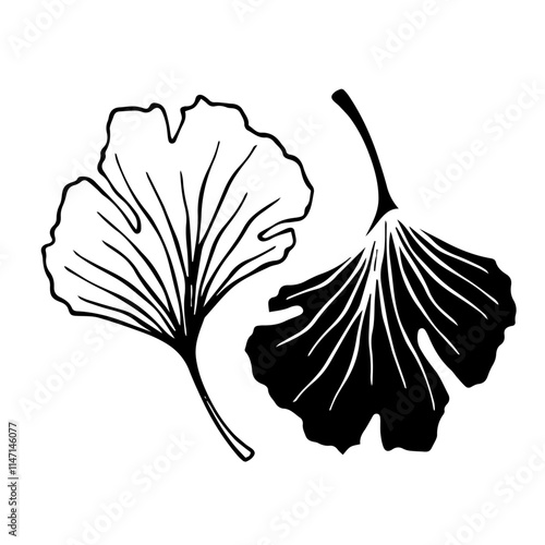 Line sketch, silhouette, stamp of leaves. Vector graphics.