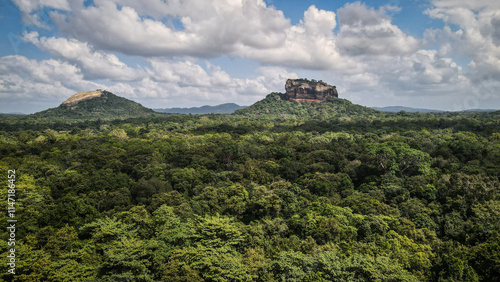 Фотография The aerial view of Sigiriya Rock in Sri Lanka