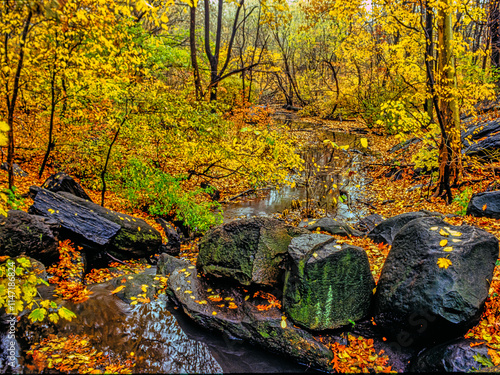 Harriman State Park in autumn photo