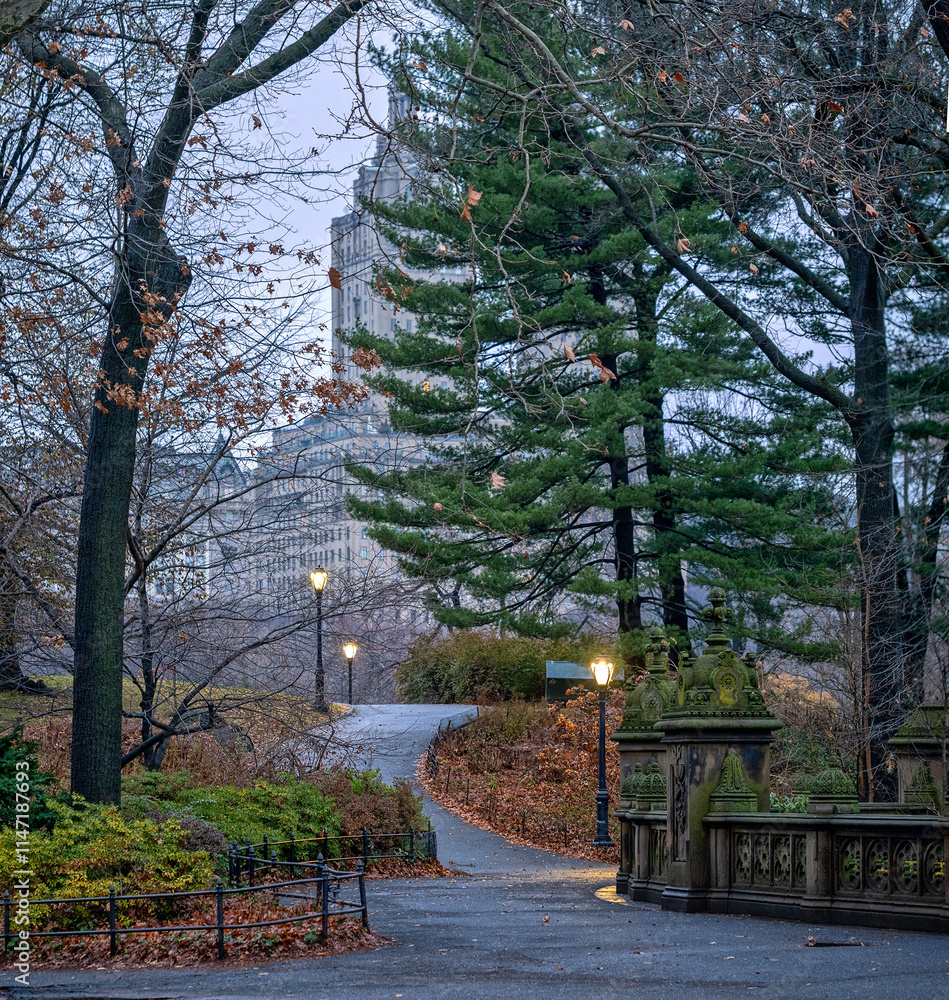 Autumn in Central Park