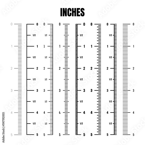 Vertical inch scale for measuring length or height. Various measurement scales with divisions. Ruler, tape measure marks, size indicators. Vector illustration