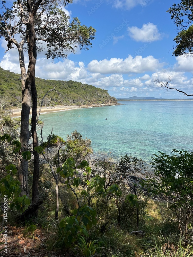 Fototapeta premium Noosa, Sunshine Coast, Queensland, Australia