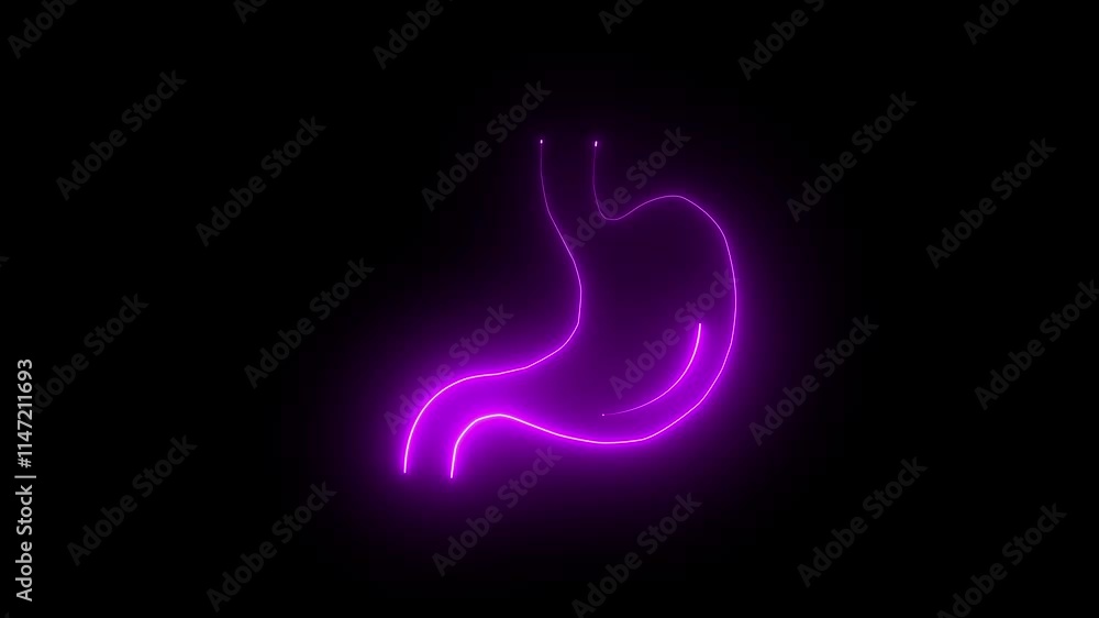 Glowing neon line A human stomach icon is isolated on a black background. Animation of a human stomach with glowing neon lines, Neon Human Digestive System Stomach Anatomy Animation Glowing neon line A human stomach icon is isolated on a black background. Animation of a human stomach with glowing neon lines, Neon Human Digestive System Stomach Anatomy Animation