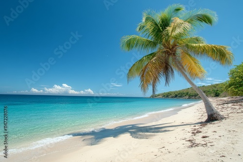 A serene beach scene with a palm tree, clear water, and a bright blue sky.