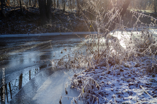 Frozen Riverbank in Winter Sunlight photo