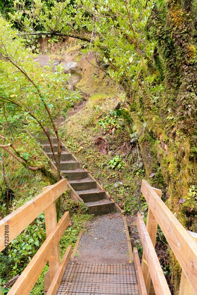 Path with Handrail and Staircase in the Woods Path with Handrail and Staircase in the Woods