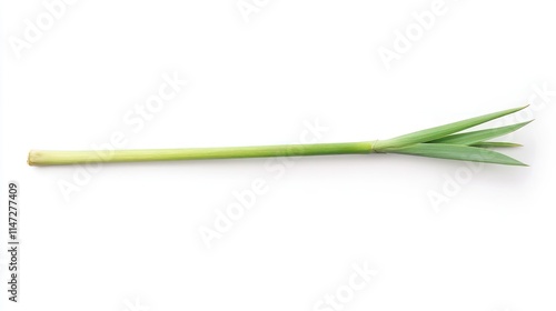 Single stalk of fresh green lemongrass on white background photo