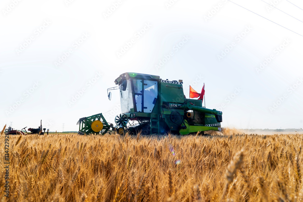Fototapeta premium combine harvester working on a wheat field