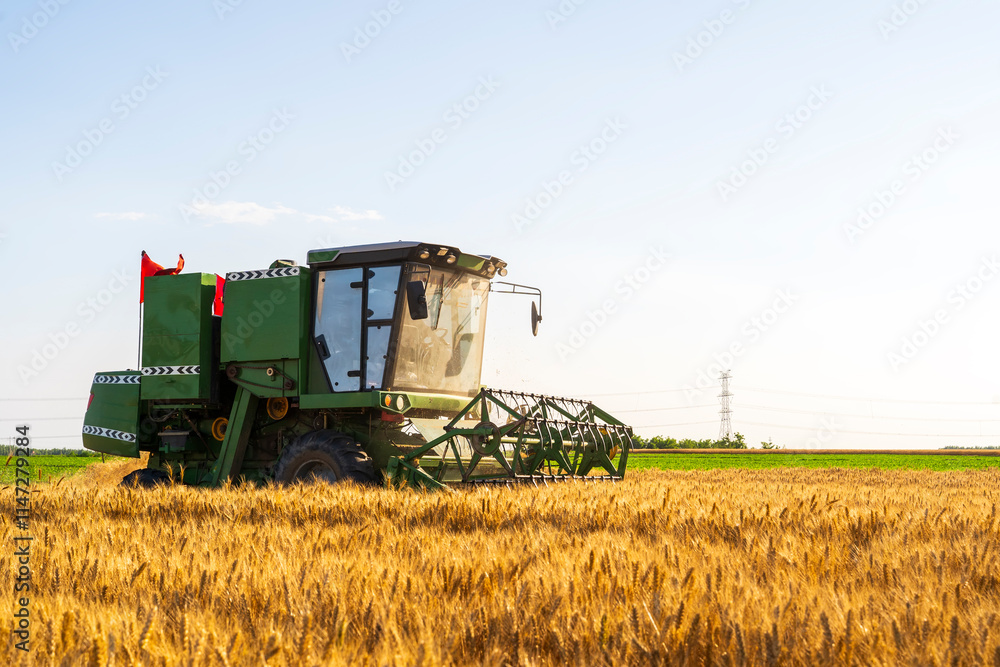 Fototapeta premium combine harvester working on a wheat field