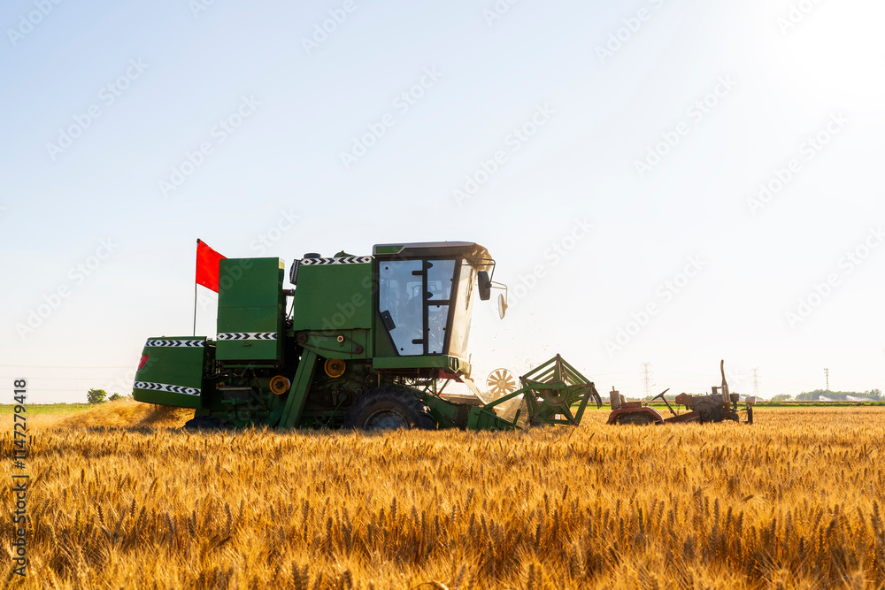 Fototapeta premium combine harvester working on a wheat field