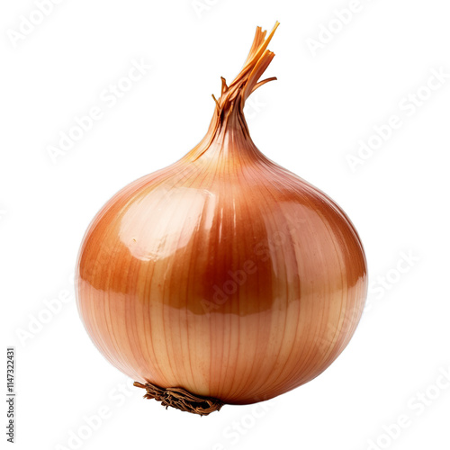 A brown onion with a stem or An unpeeled brown onion on stem photo