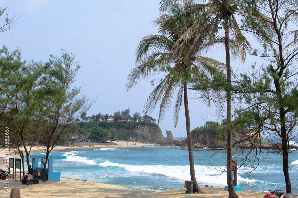 Obraz premium Coconut trees line the blue sea background of Klayar Pacitan beach, a beach famous for its white sand.