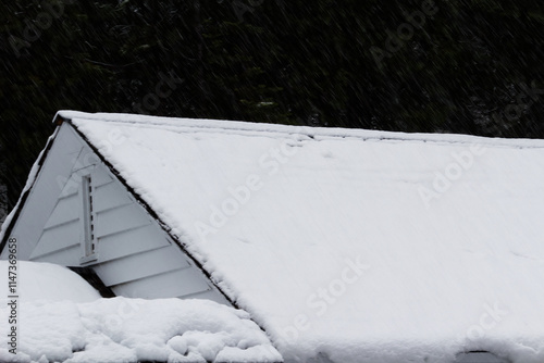 Snow Covered Roof Top With More Falling