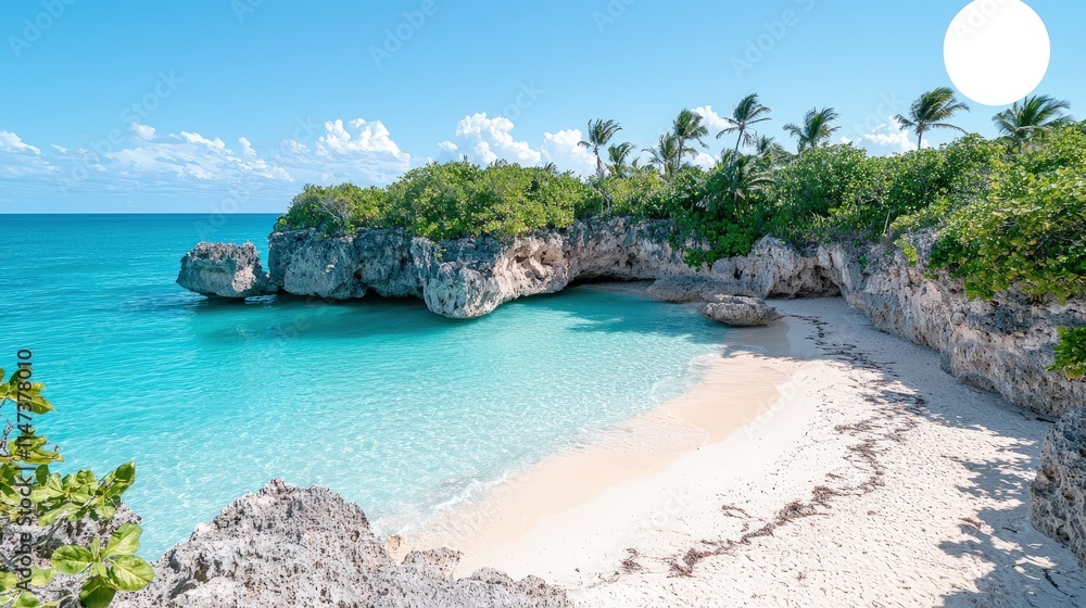 Naklejka premium Secluded tropical beach cove with turquoise water, white sand, and palm trees.