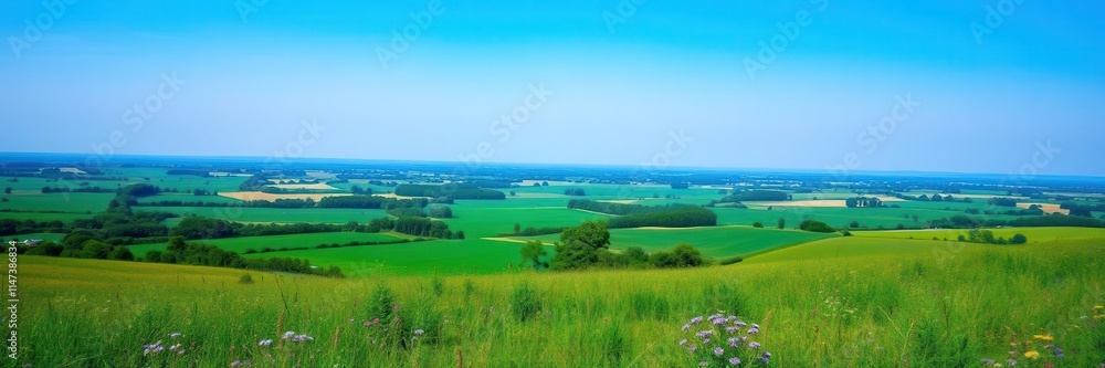 Lush green fields stretching to the horizon with colorful wildflowers and a clear blue sky, green, horizon, lush Lush green fields stretching to the horizon with colorful wildflowers and a clear blue sky, green, horizon, lush