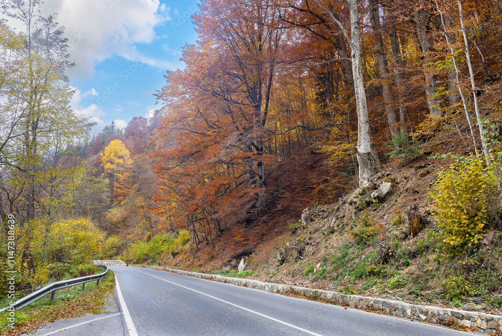 Fototapeta premium autumn road in the Bulgarian mountains