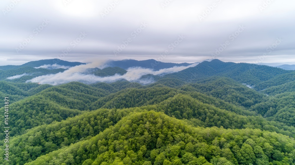 Fototapeta premium Lush green hills under a cloudy sky, with mist rolling through the valley, creating a serene and picturesque landscape.