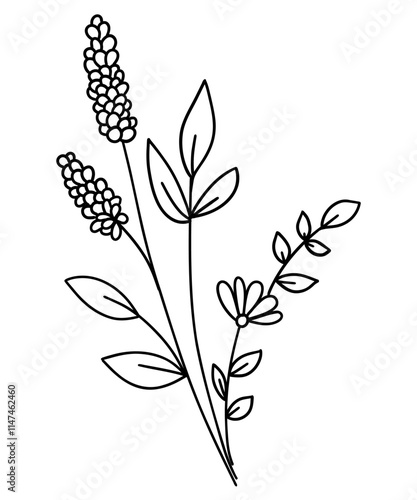 tiny wild flowers and plants line art botanical illustrations. Trendy greenery hand draw lines black ink sketches. vector illustration