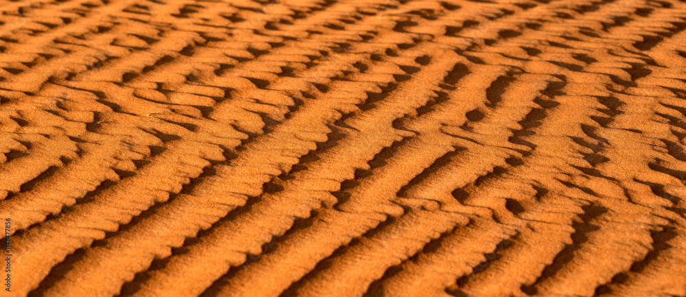 Sand dune texture. Desert Background. Oman, Wahiba Desert Sand dune texture. Desert Background. Oman, Wahiba Desert