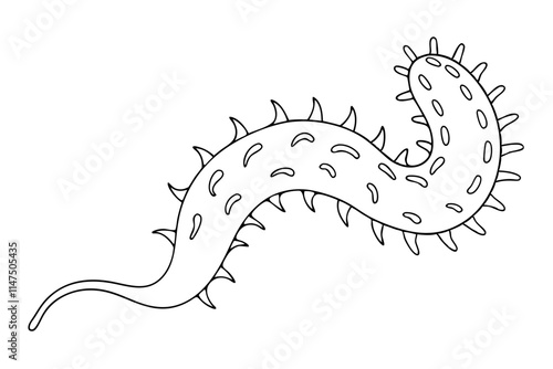 Sea Cucumber in Simple Line Art Vector Illustration Silhouette