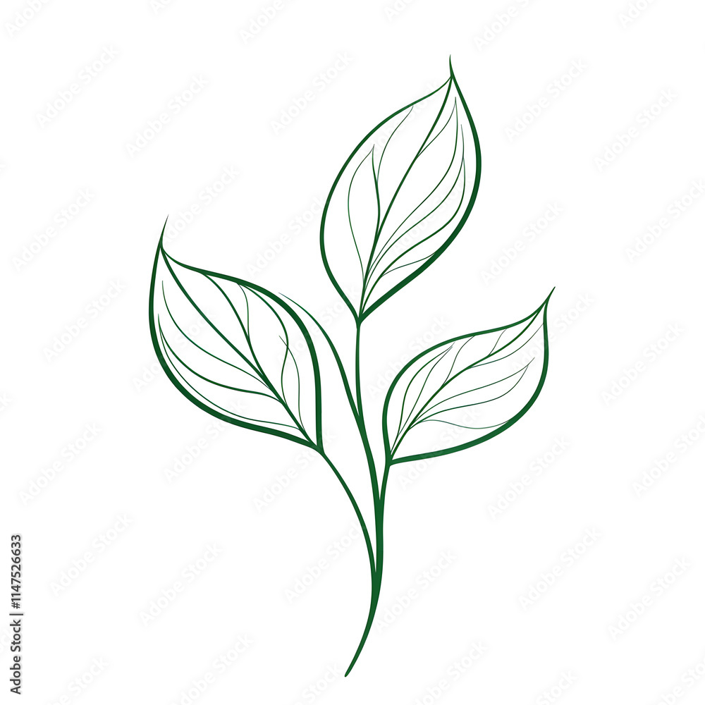 floral and leafy illustrator elements for card, wallpaper.