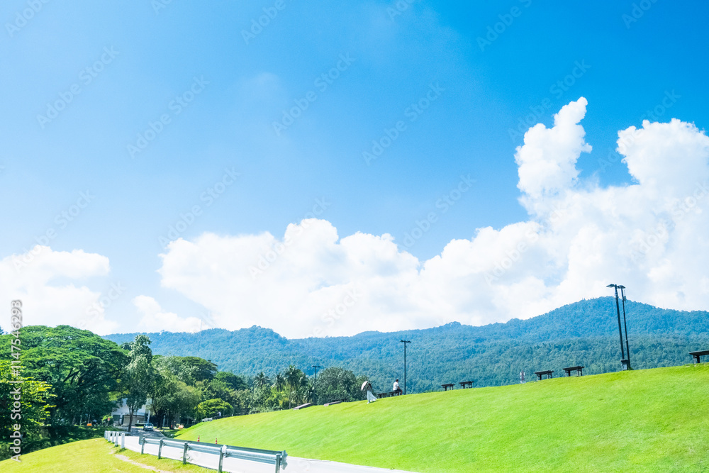 Fototapeta premium Landscape view of green grass on slope with clouds and blue sky,Beautiful green hills, pastures and trees,space for text,copy space.