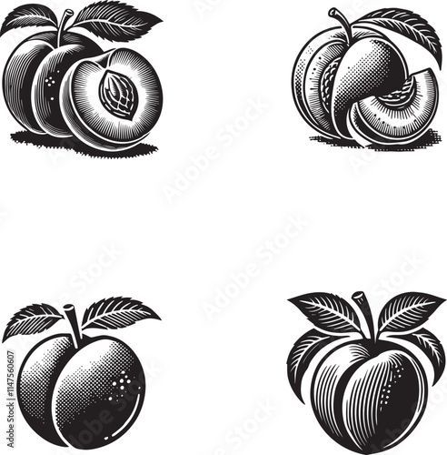 Vintage Peach Illustrations - Black and White Silhouettes
