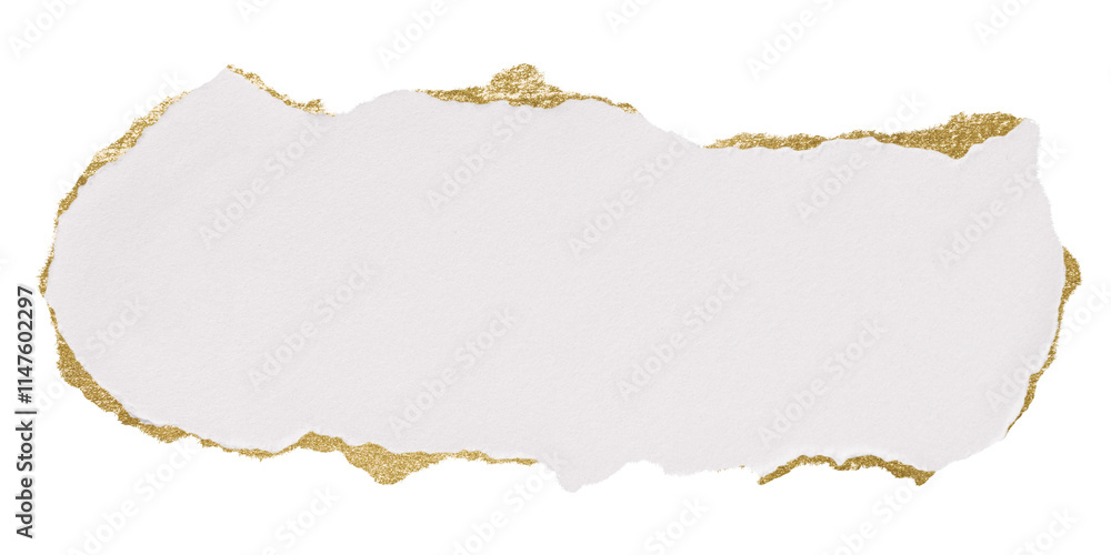 White ripped paper png cut out collage element on transparent background White ripped paper png cut out collage element on transparent background