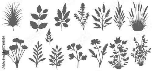 silhouette of the grass big set. Vector illustration