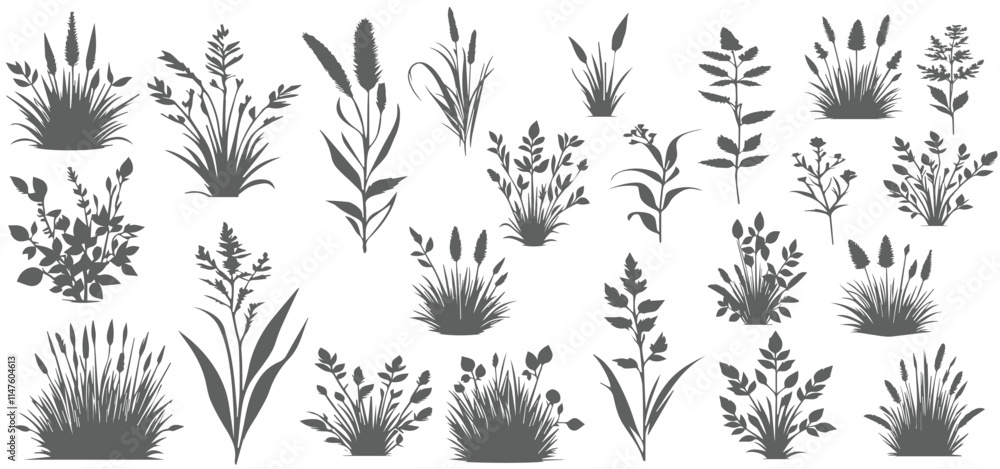 silhouette of the grass big set. Vector illustration grass set silhouette of the grass big set. Vector illustration grass set
