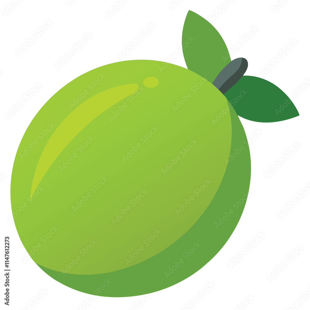 lime vector illustration on a white background lime vector illustration on a white background