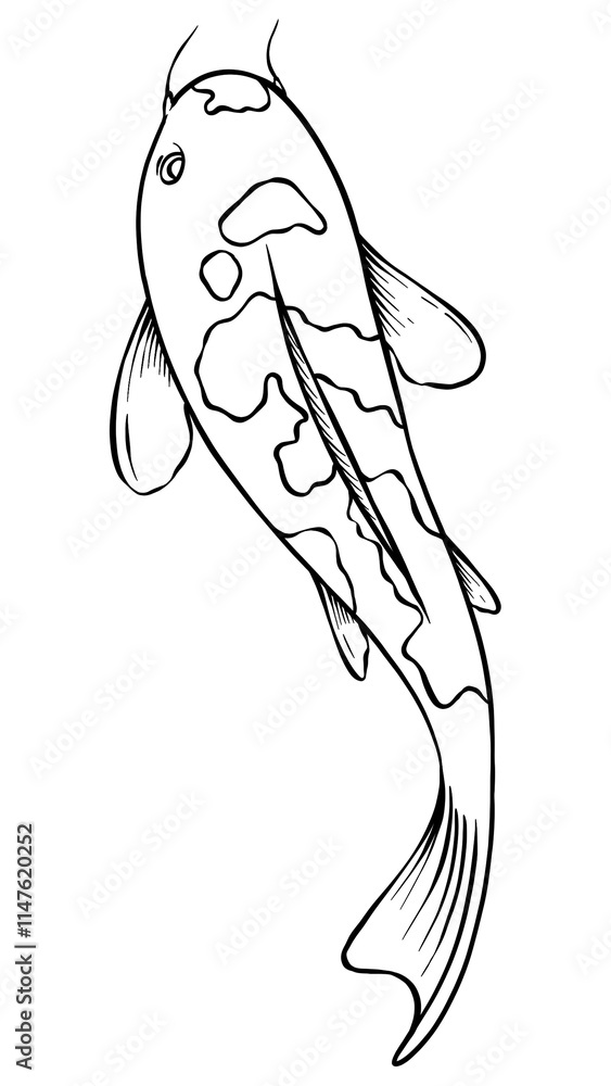 Hand drawn koi fish design element Hand drawn koi fish design element