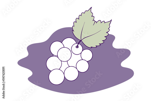 Fresh White Currant Vector Drawing Artistic Line Color Illustration