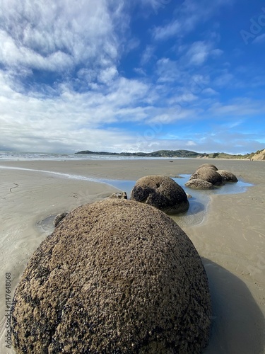 Canvas Print Spherical Boulders at Moeraki Boulders Beach. Rocks on the beach
