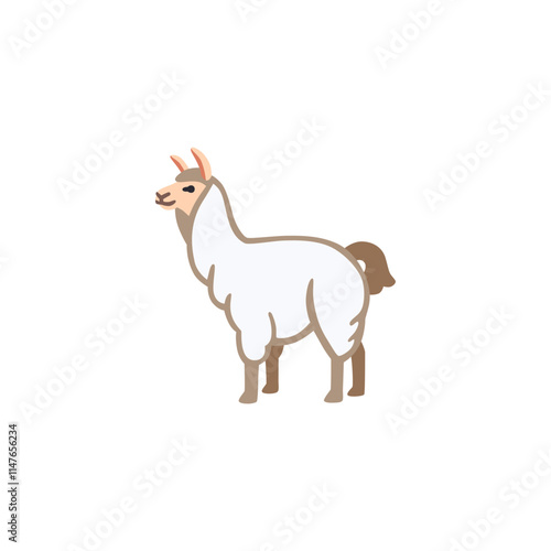Llama

