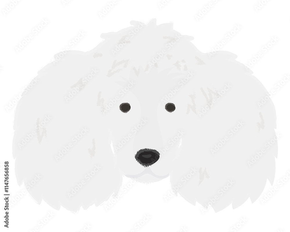Png white poodle dog hand drawn sticker, transparent background Png white poodle dog hand drawn sticker, transparent background