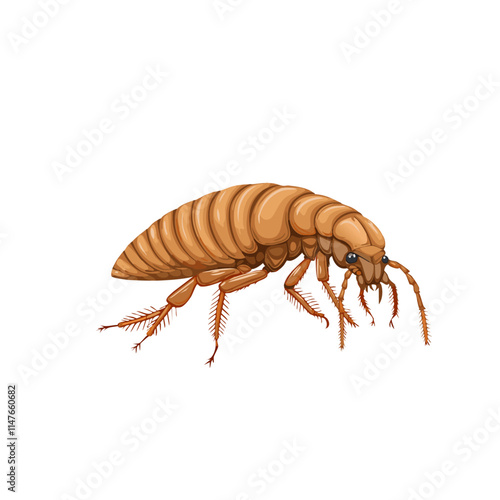Brown Flea Illustration Detailed Anatomy, Insect Pest, Vector Art