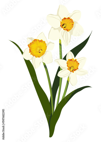 Yellow daffodil sticker, realistic flower illustration on transparent background