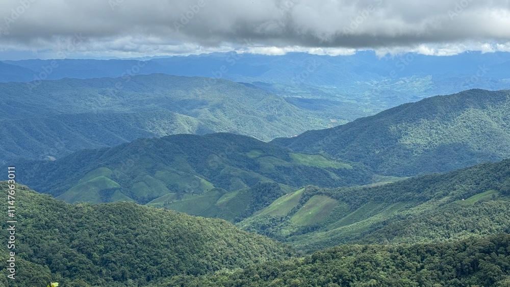 Fototapeta premium landscape of mountain layer with clouds in northern Thailand