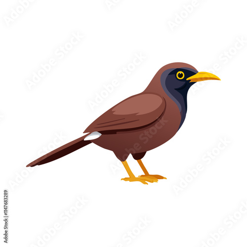 Browncolored Asian bird illustration, jungle myna, avian wildlife