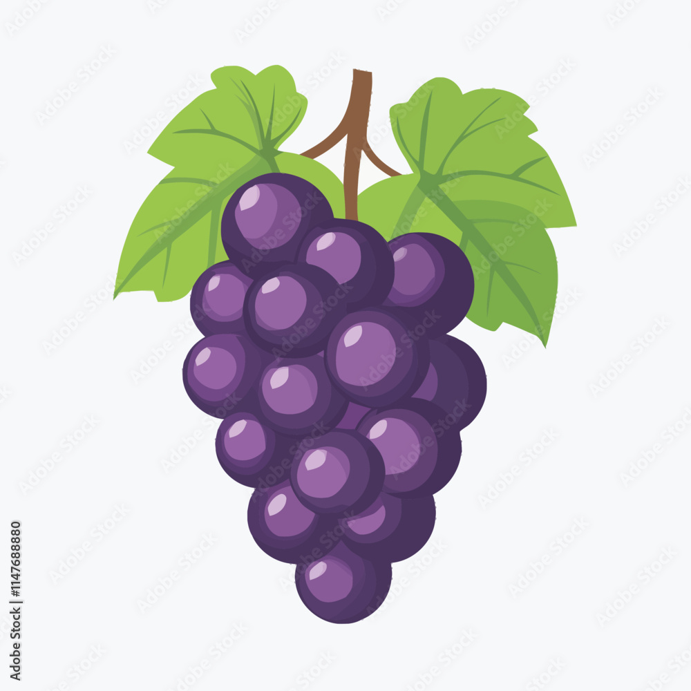 Fresh Grapes on Wine Vector Illustration Fresh Grapes on Wine Vector Illustration