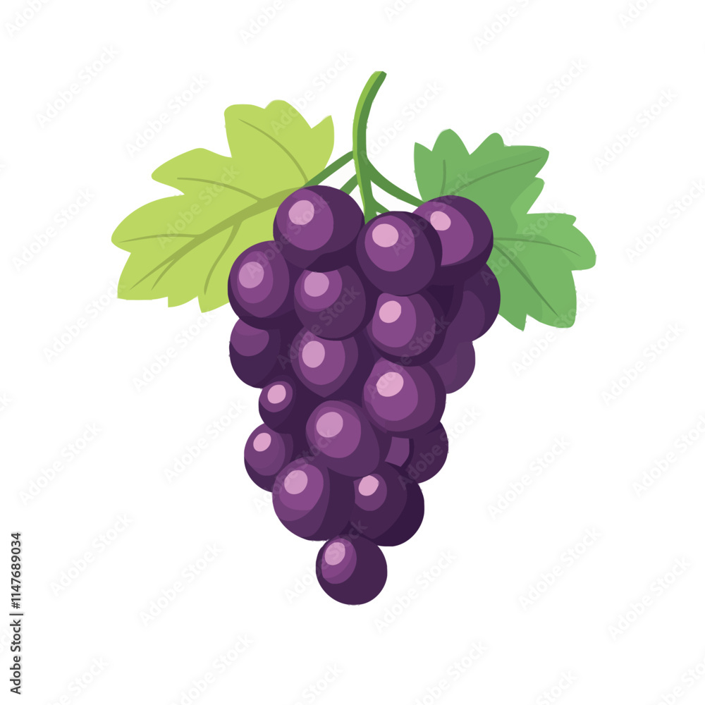 Fresh Grapes on Wine Vector Illustration Fresh Grapes on Wine Vector Illustration