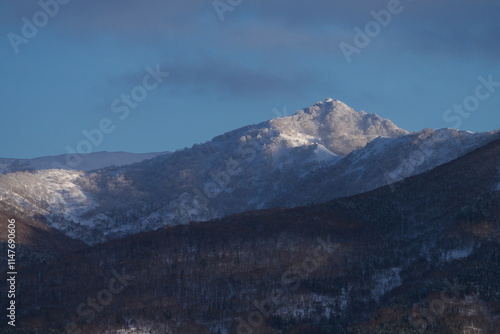 Wallpaper Mural 冠雪 Torontodigital.ca